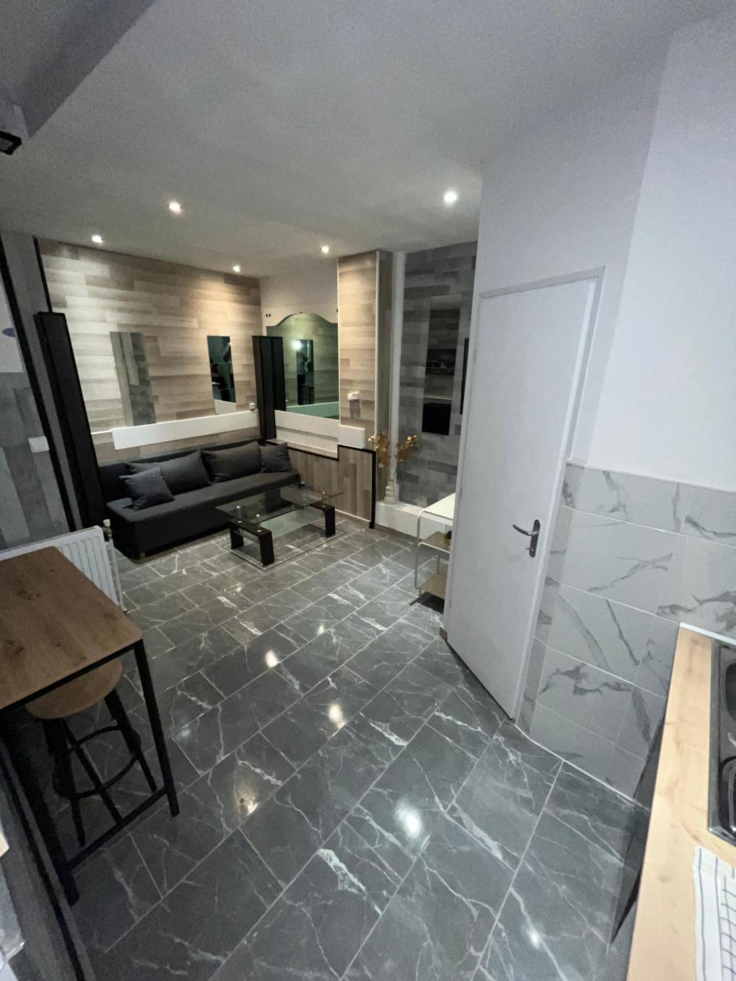 Appartement Moderne Centre Ville De Ντιζόν Εξωτερικό φωτογραφία