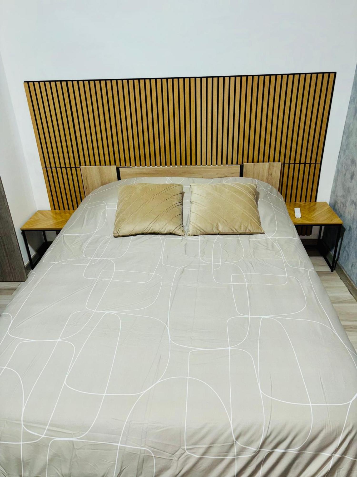 Appartement Moderne Centre Ville De Ντιζόν Εξωτερικό φωτογραφία