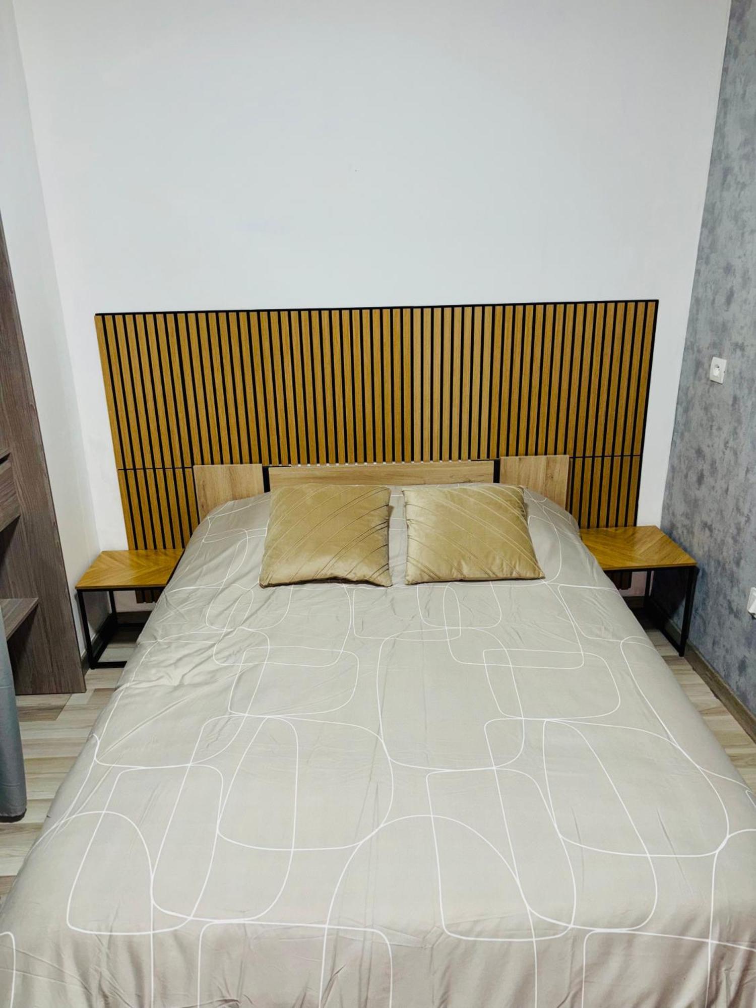Appartement Moderne Centre Ville De Ντιζόν Εξωτερικό φωτογραφία